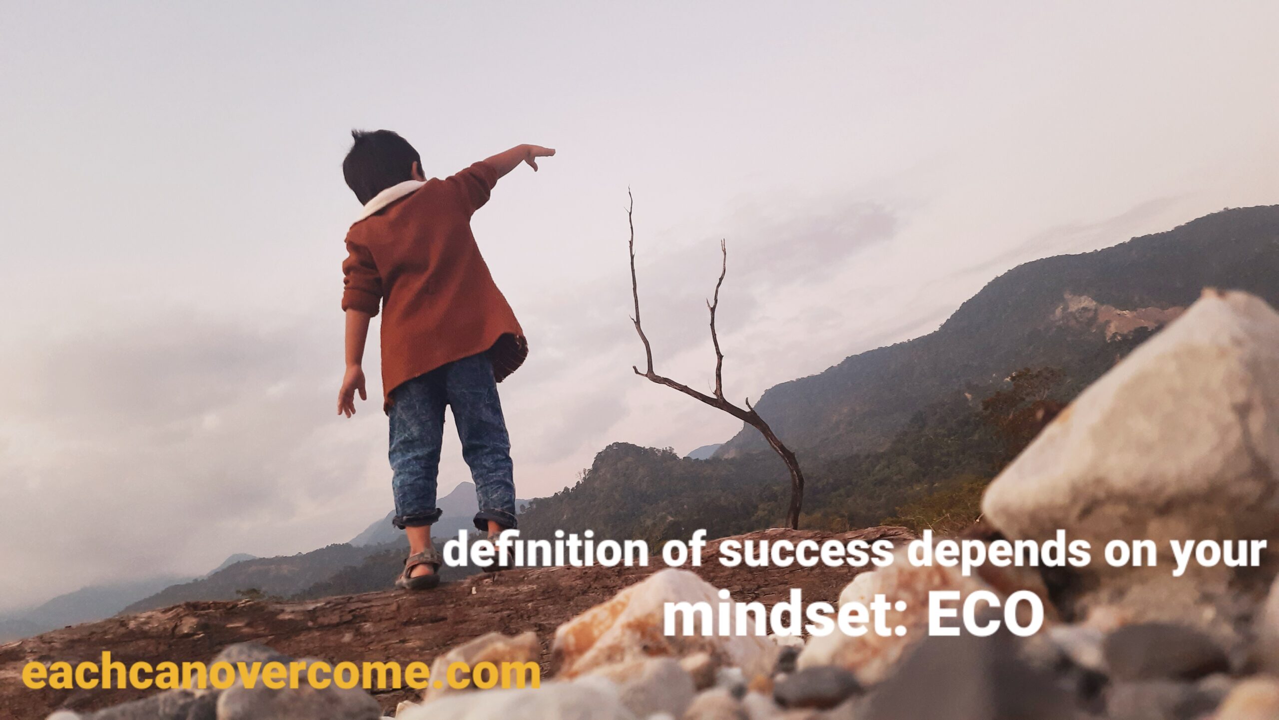 Read more about the article What’s your definition of success?-ECO